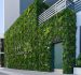 Greening Urban Commercial Buildings with Artificial Plant Walls