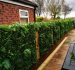 How to Attach Artificial Hedge to Brick Wall: A Step-by-Step Guide