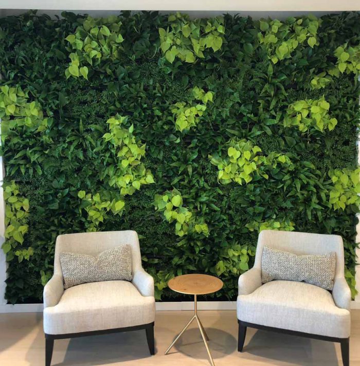 how to make a plant wall indoor