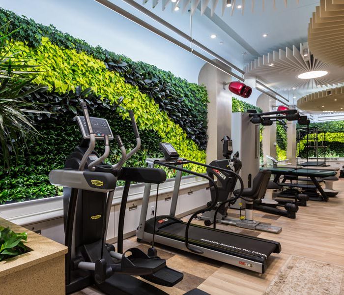 plants on the wall for a gym