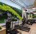 Creative Ideas for Using Artificial Plants on the Wall for a Gym: Bringing Greenery to Your Workout Space