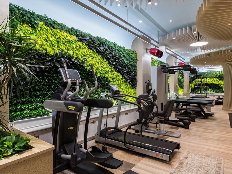 plants on the wall for a gym